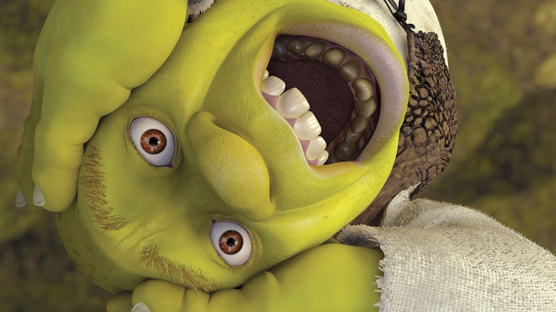 Video Game Shrek: Reekin' Havoc HD Wallpaper | Background Image
