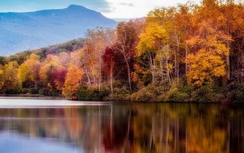 HD Wallpaper | Background Image ID:532798