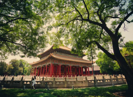 A tranquil view of the Forbidden City in Beijing, China, showcasing its intricate architecture framed by lush green trees, perfect as a desktop wallpaper.