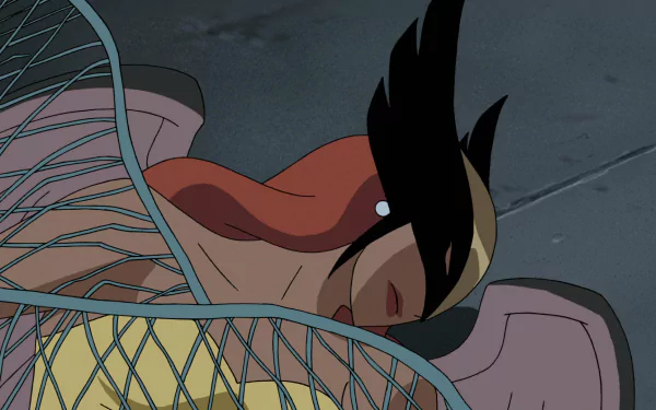 Shayera Hol Hawkgirl (DC Comics) TV Show Justice League HD Desktop Wallpaper | Background Image