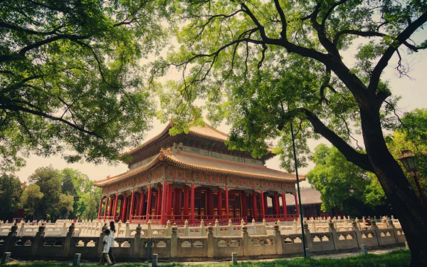 A tranquil view of the Forbidden City in Beijing, China, showcasing its intricate architecture framed by lush green trees, perfect as a desktop wallpaper.
