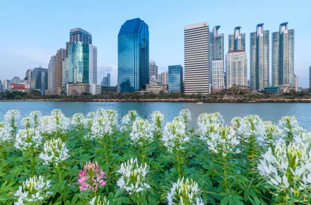 View of Bangkok's modern skyline along the Chao Phraya River with vibrant flowers in the foreground, showcasing Thailand’s urban and natural beauty.