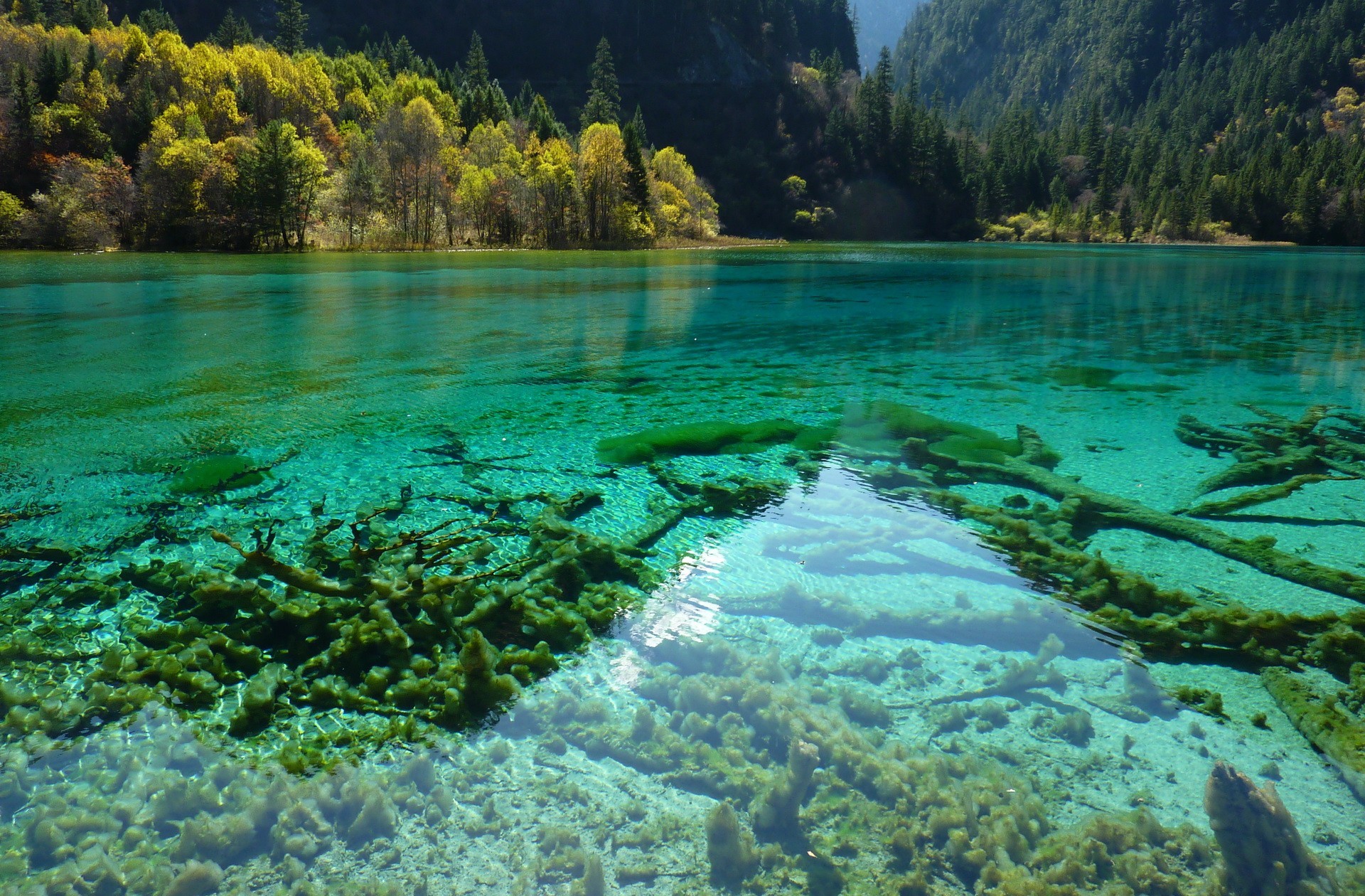 Nature Lake HD Wallpaper | Background Image