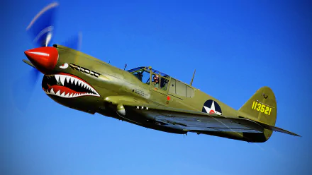 A Curtiss P-40 Warhawk, renowned for its military history, soars through a clear blue sky with a distinctive shark-faced nose, showcasing its striking design in this HD wallpaper.