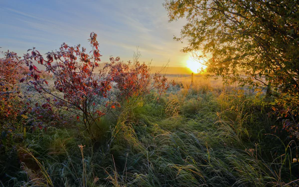 nature sunrise HD Desktop Wallpaper | Background Image