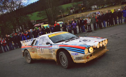 vehicle lancia 037 HD Desktop Wallpaper | Background Image