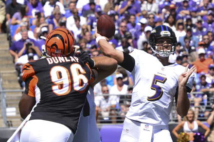 Baltimore Ravens Sports HD Desktop Wallpaper | Background Image