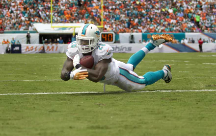 HD PC desktop wallpaper featuring a Miami Dolphins player diving to catch a football during a game, set in a packed stadium with fans in the background.