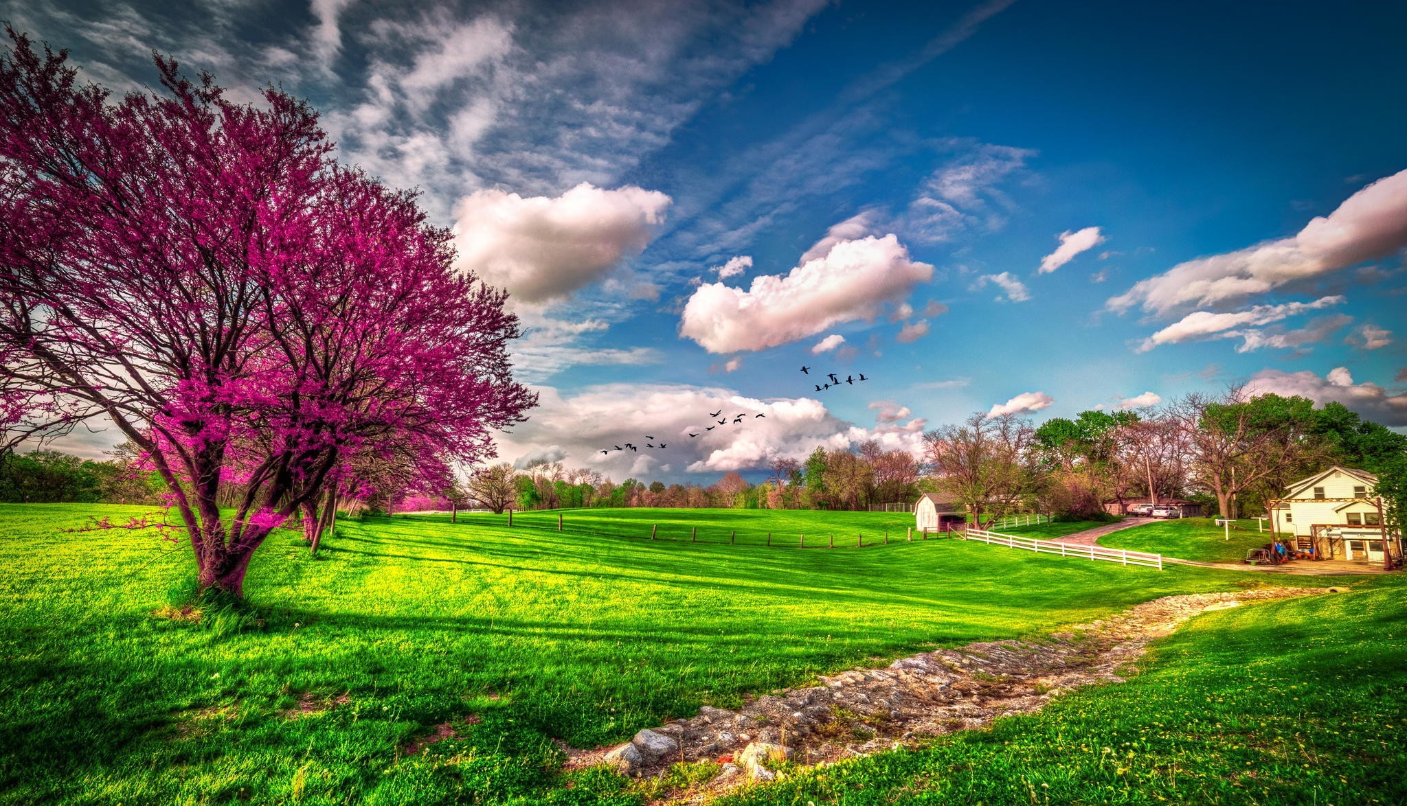 Nature Spring HD Wallpaper | Background Image