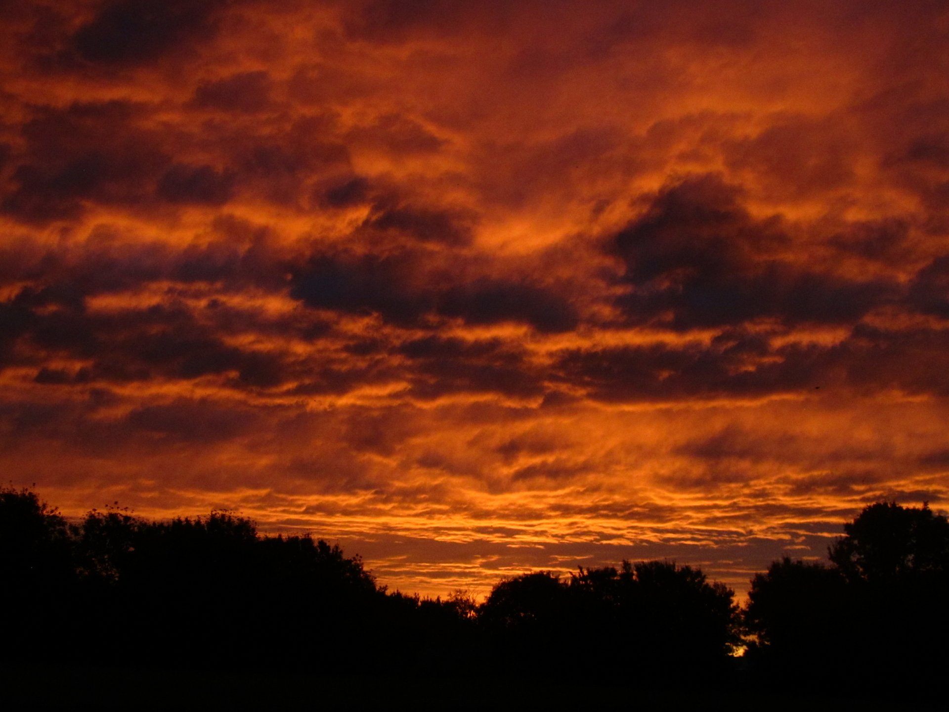 Download Nature Cloud 4k Ultra HD Wallpaper by Vergilius