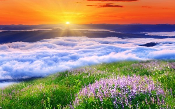 Earth Sunset Cloud Meadow Landscape HD Wallpaper | Background Image