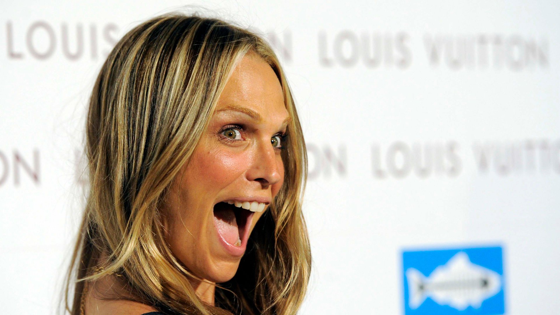 Download American Actress Celebrity Molly Sims HD Wallpaper