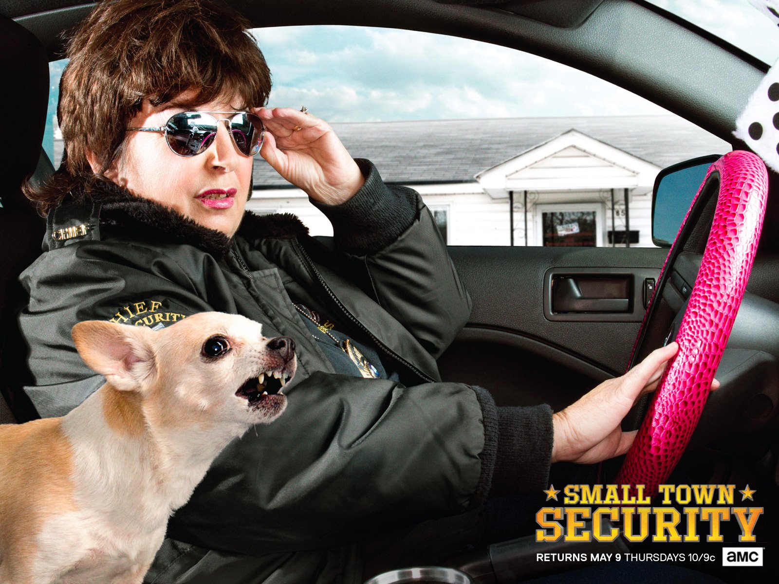 Download Security Dog TV Show Small Town Security Wallpaper