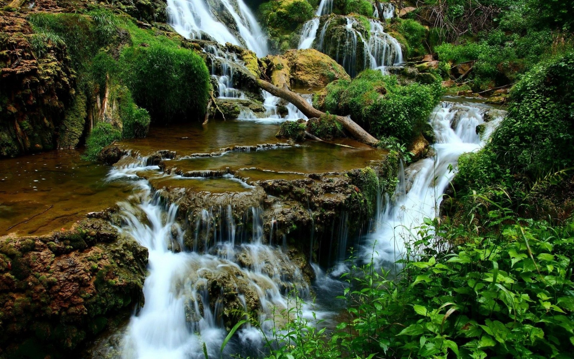 Download Nature Waterfall HD Wallpaper