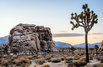 cliff nature desert HD Desktop Wallpaper | Background Image