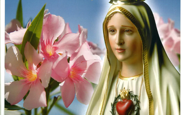 An HD desktop wallpaper featuring Our Lady of Fátima, depicting Mary with a serene expression, surrounded by pink flowers, symbolizing her divine connection and maternal love.