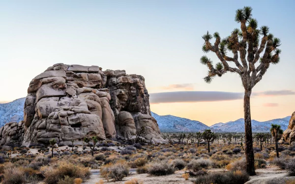 cliff nature desert HD Desktop Wallpaper | Background Image