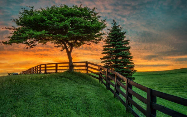 HD desktop wallpaper showing a green grassy field with pine trees, a wooden fence, and a vibrant sunset sky over the earth.