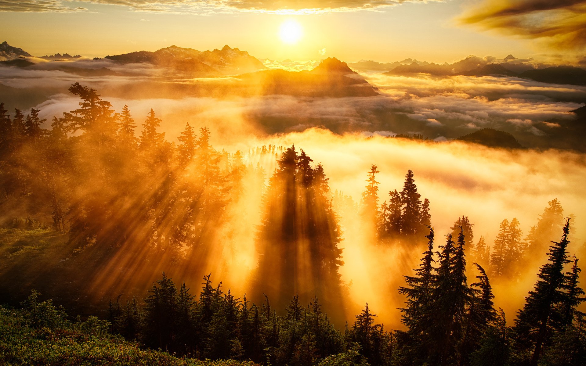 Nature Sunbeam Hd Wallpaper By Michael Matti