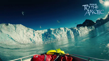Antarctica arctic movie to the arctic HD Desktop Wallpaper | Background Image