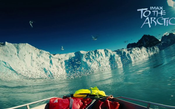 Movie To The Arctic Arctic Antarctica HD Wallpaper | Background Image
