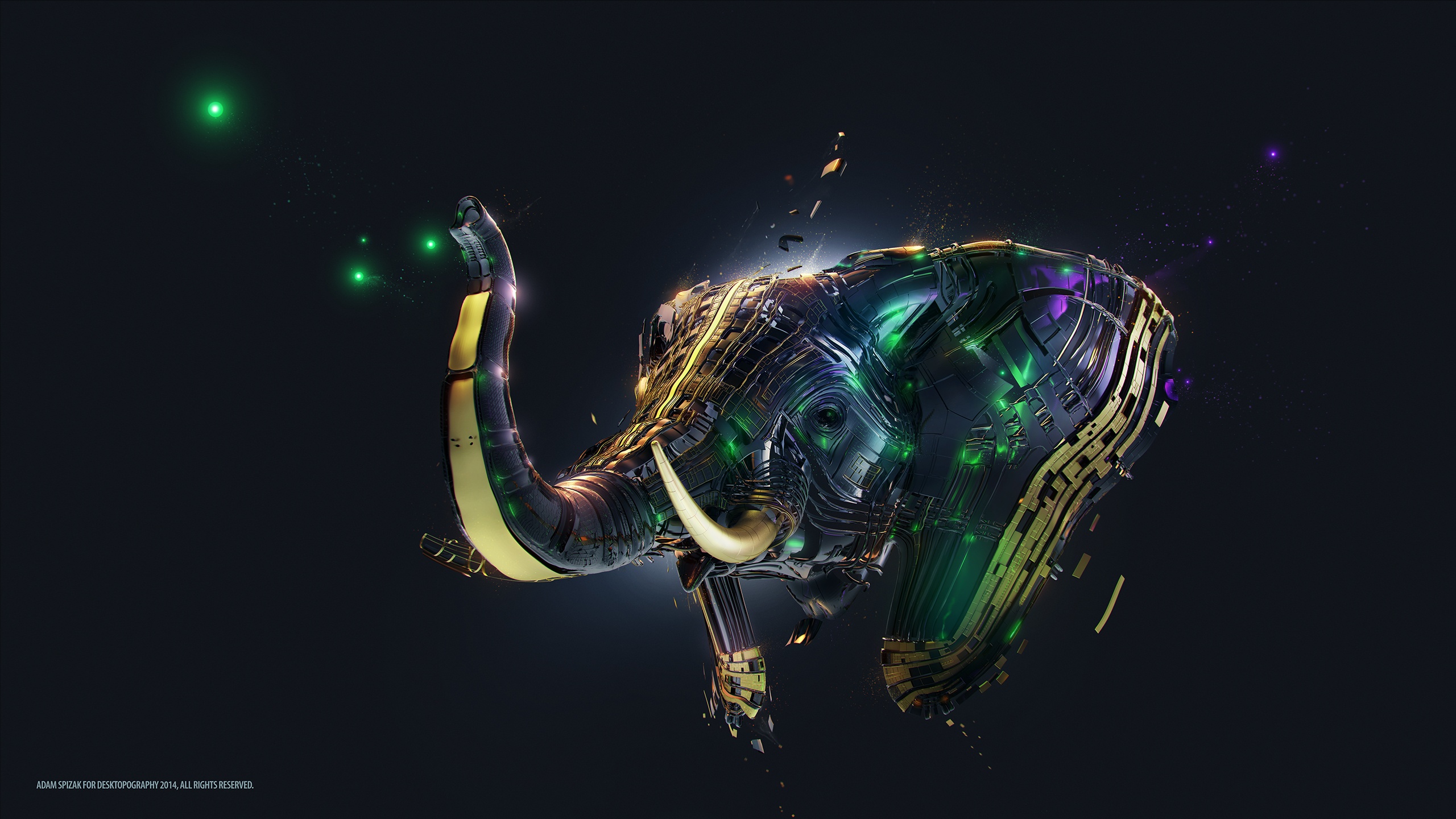 11 Elephant HD Wallpapers | Background Images - Wallpaper Abyss