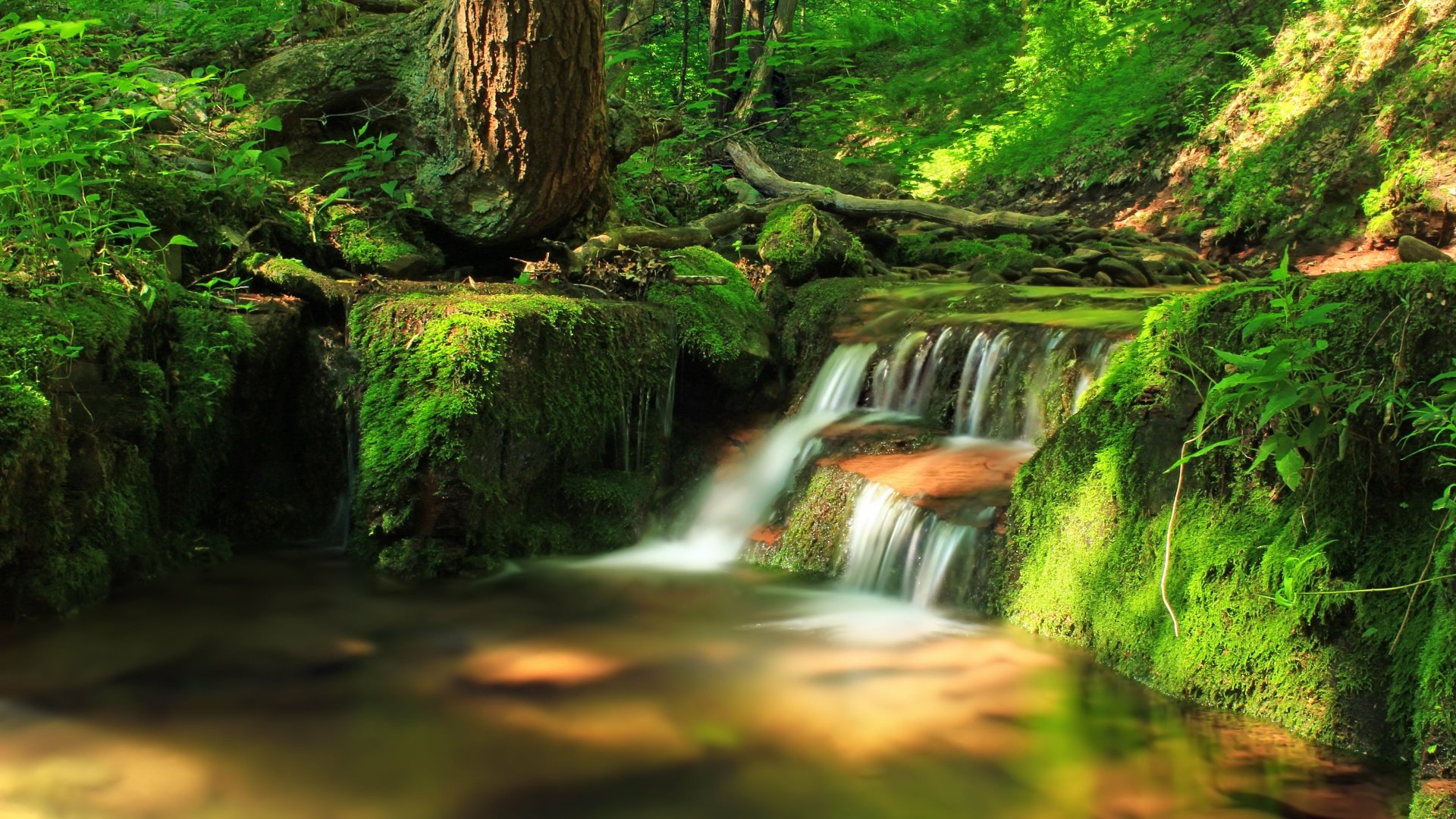 Serene Waterfall in Nature - 4K Ultra HD Wallpaper