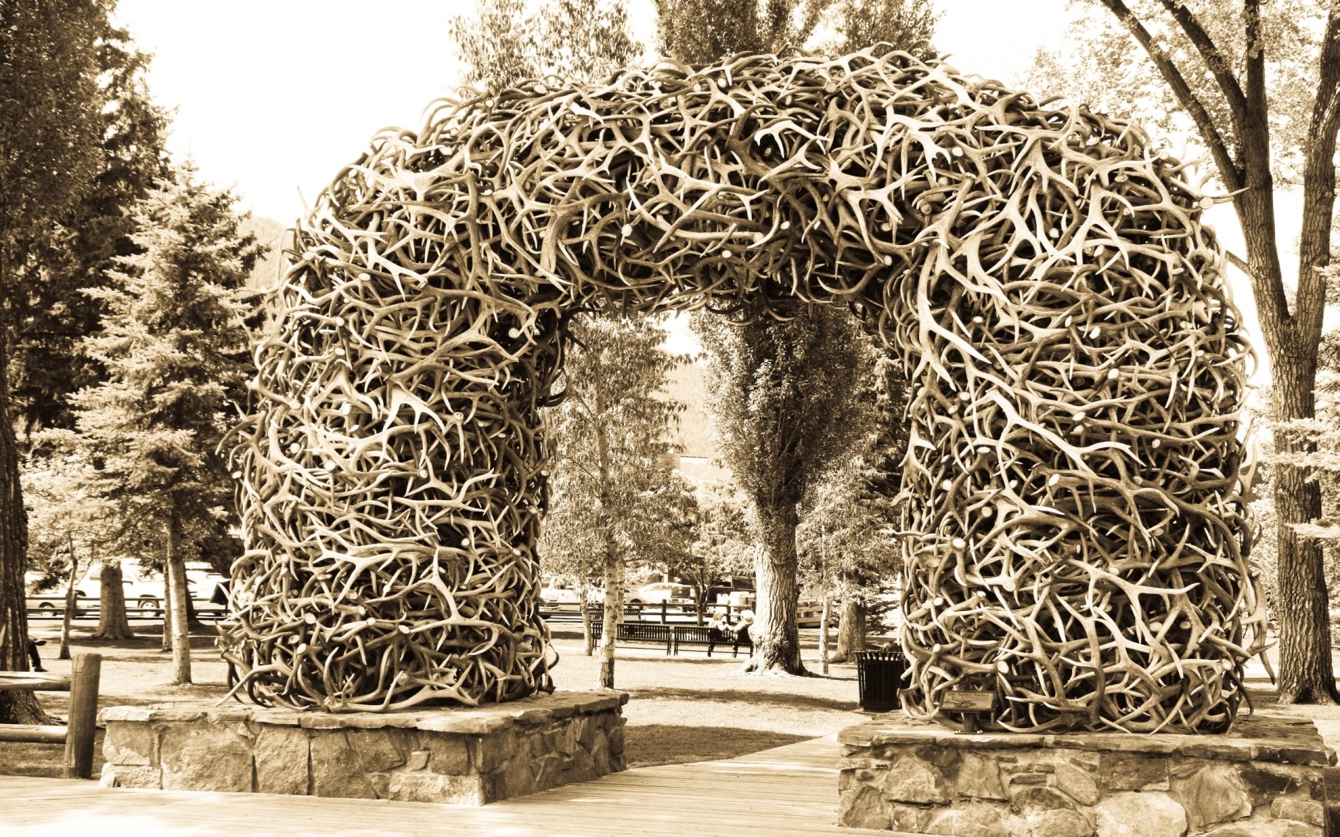 Download Man Made Antler Arch HD Wallpaper