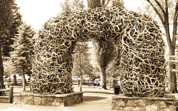 man made Antler Arch HD Desktop Wallpaper | Background Image