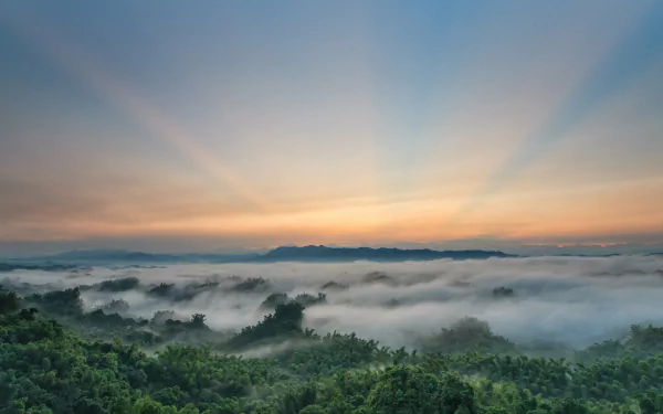 nature fog HD Desktop Wallpaper | Background Image