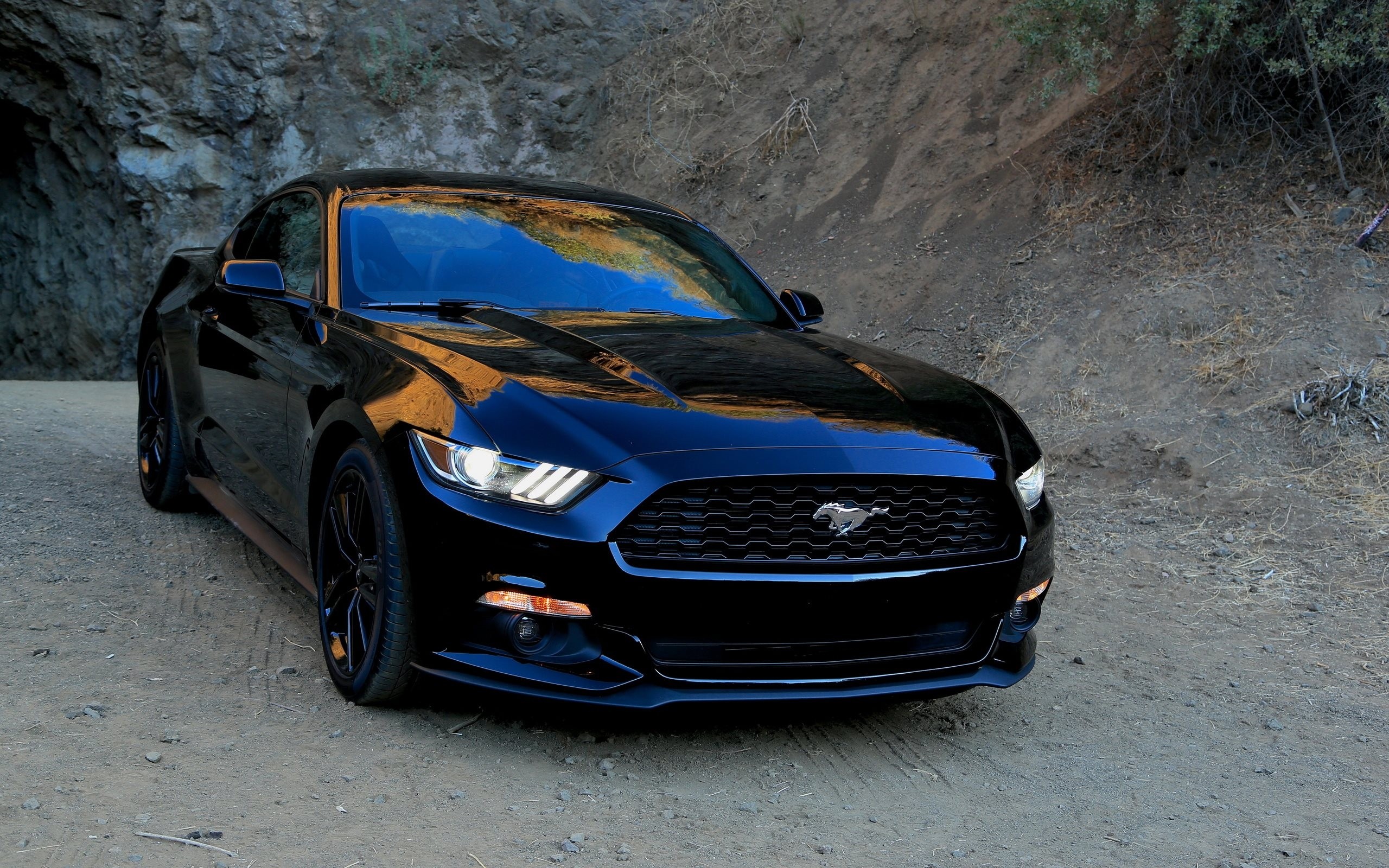 ford mustang black wallpaper hd