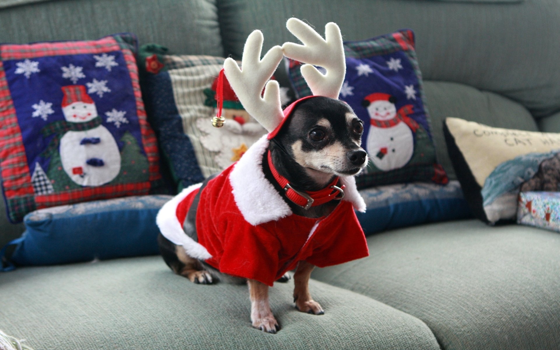 Chihuahua dressed in a red Christmas outfit with reindeer antlers, sitting on a couch with festive snowman pillows, captured in a HD PC desktop wallpaper.