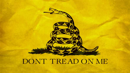 Misc gadsden flag HD Desktop Wallpaper | Background Image