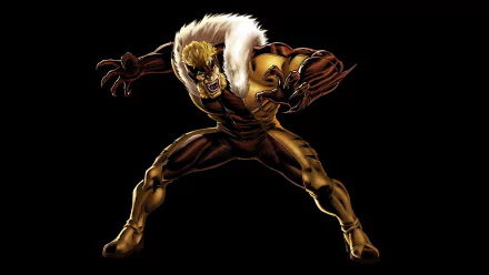 Comic Sabretooth (X-Men) HD Desktop Wallpaper | Background Image
