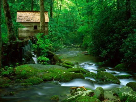 A serene stream flows through lush green moss, accompanied by a rustic wooden cabin nestled in the vibrant greenery of nature, creating a tranquil HD desktop wallpaper.