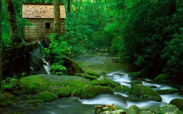 A serene stream flows through lush green moss, accompanied by a rustic wooden cabin nestled in the vibrant greenery of nature, creating a tranquil HD desktop wallpaper.