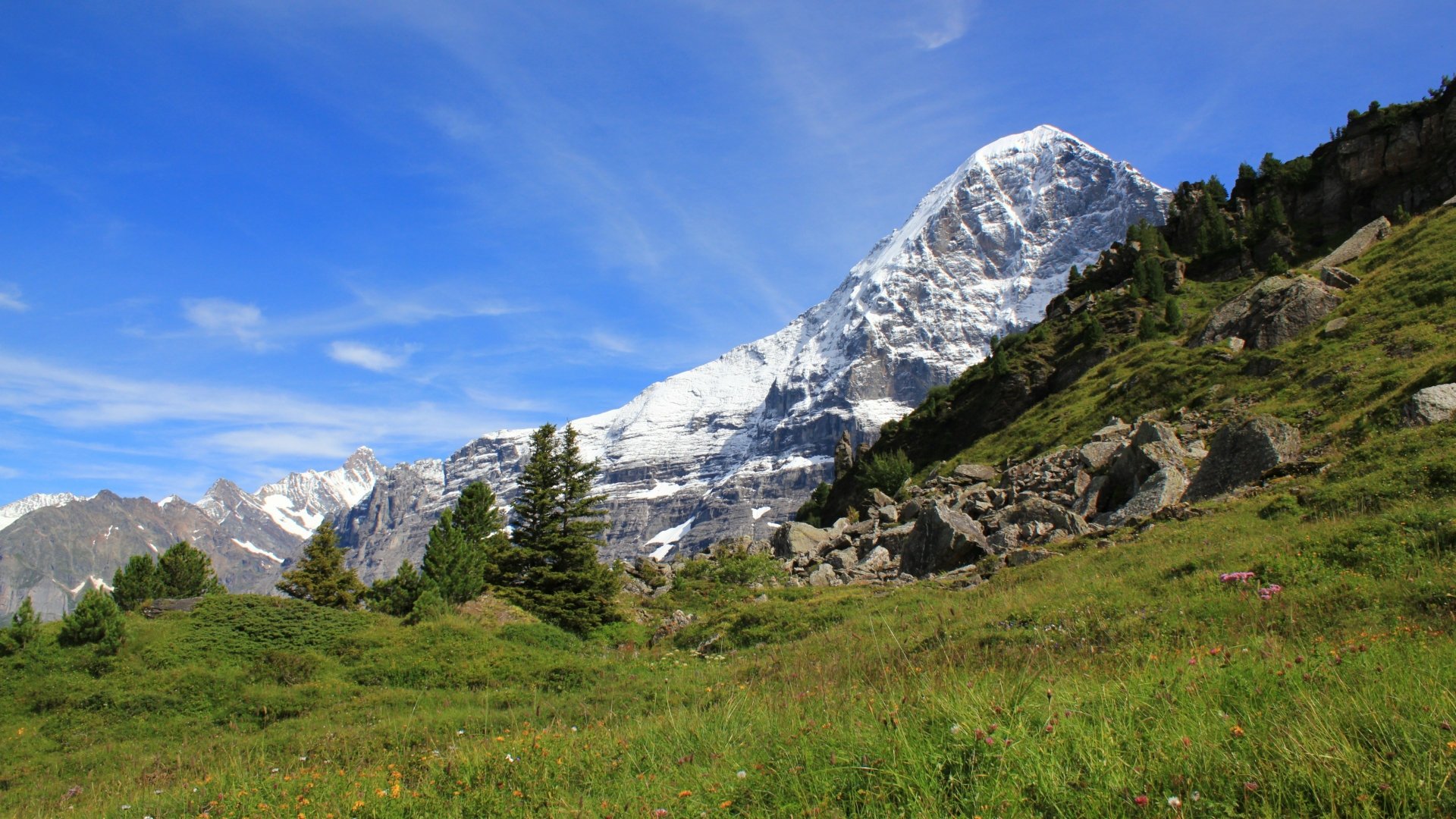 4K Ultra HD desktop wallpaper showcasing a vibrant nature landscape with lush green meadows, tall pine trees, and a majestic snow-covered mountain under a clear blue sky.