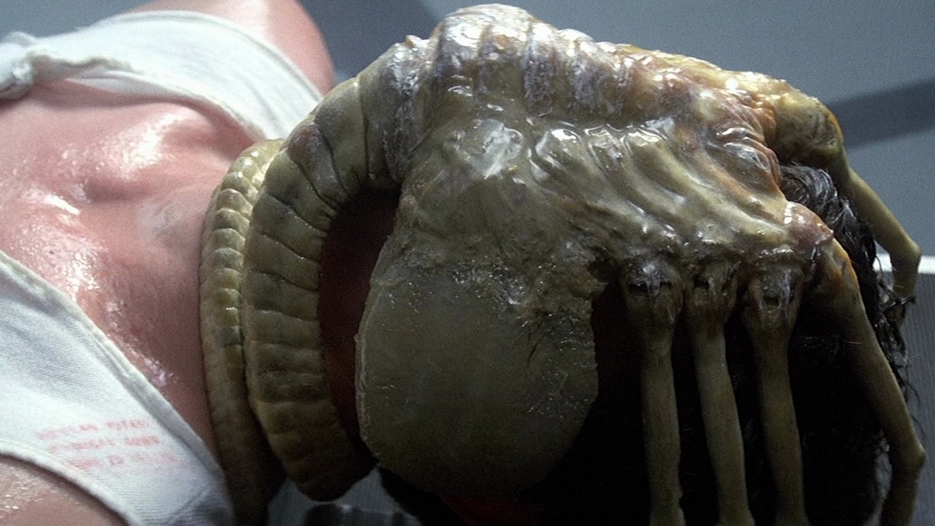 HD PC desktop wallpaper featuring a close-up of a movie alien creature emerging from a bandaged person's face.