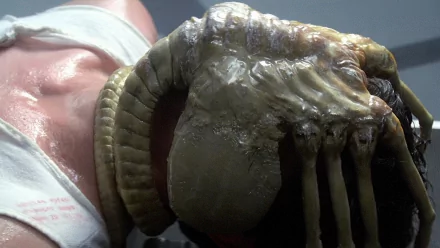HD PC desktop wallpaper featuring a close-up of a movie alien creature emerging from a bandaged person's face.