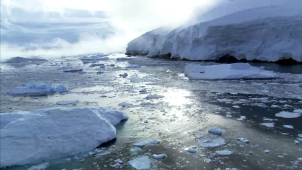 HD desktop wallpaper showcasing a serene nature scene with drifting icefloes under a cloudy sky, reflecting light on cold, tranquil waters.