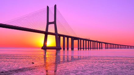 man made Vasco da Gama Bridge HD Desktop Wallpaper | Background Image