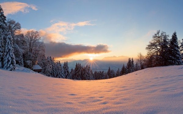 Nature Winter Snow Sunset Evening Wood Sunbeam HD Wallpaper | Background Image
