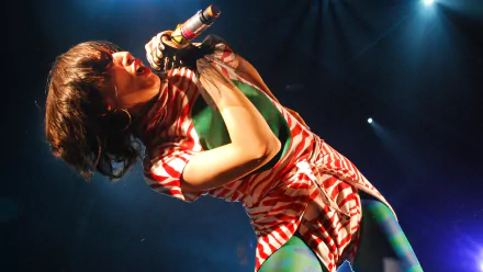 music Yeah Yeah Yeahs HD Desktop Wallpaper | Background Image