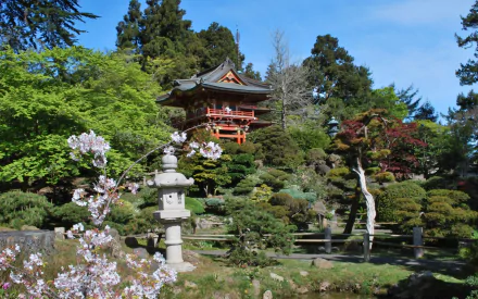 man made Golden Gate Park HD Desktop Wallpaper | Background Image