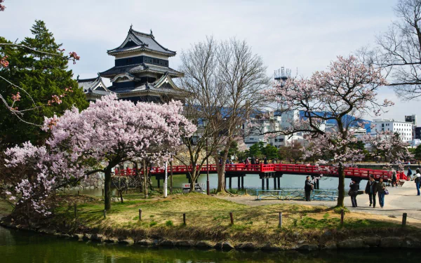 man made matsumoto castle HD Desktop Wallpaper | Background Image