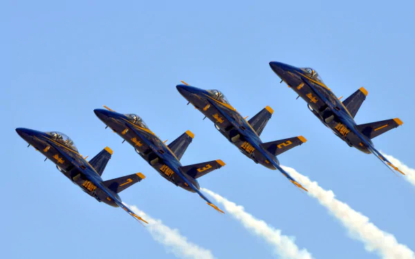  The U.S. Navy flight demonstration squadron, the Blue Angels by John P. Curtis