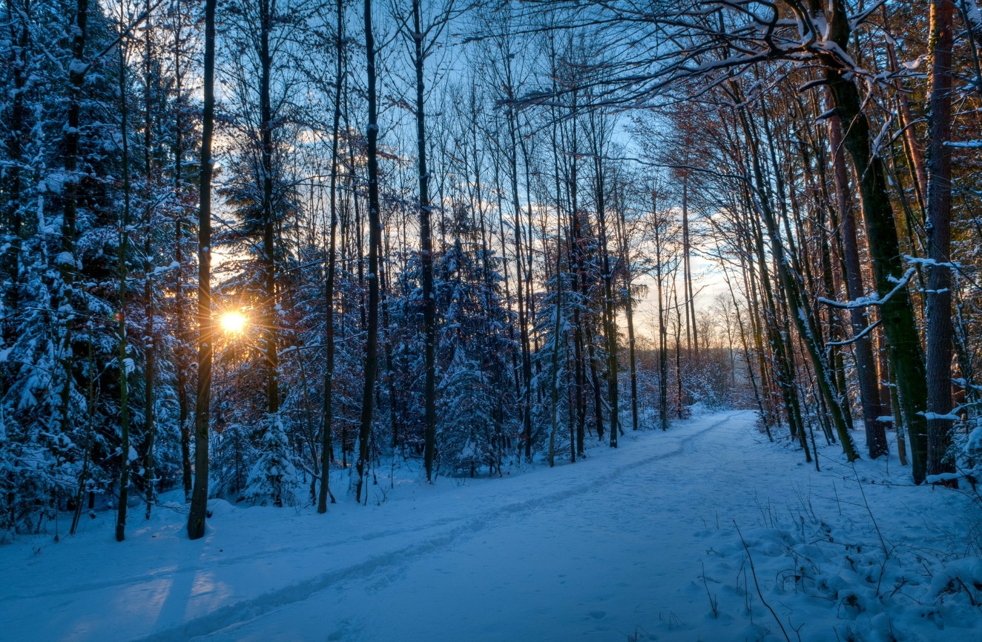 Sunset casts a warm glow over a snowy winter forest path surrounded by tall bare wood trees, captured in an HD nature scene for a PC desktop wallpaper.