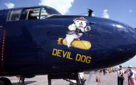 military Aircraft Nose Art HD Desktop Wallpaper | Background Image