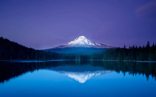 A serene HD wallpaper depicting a majestic mountain reflecting on a tranquil lake surrounded by lush trees, bathed in soft twilight hues.