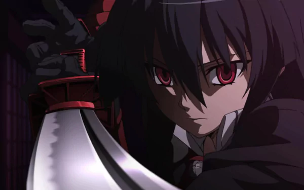 HD desktop wallpaper featuring Akame from Akame ga Kill! wielding a sword, showcasing her intense expression and striking red eyes against a dark background.